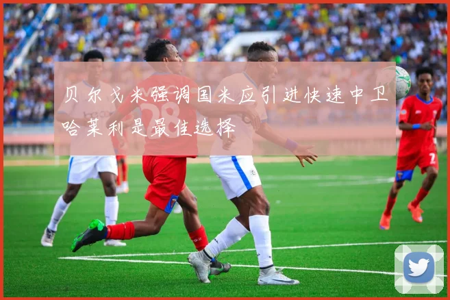 贝尔戈米强调国米应引进快速中卫哈莱利是最佳选择
