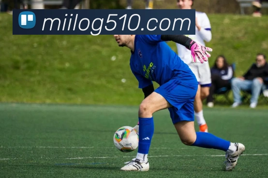 多彩内容专区